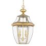Lampa ogrodowa wisząca QZ/NEWBURY8/L NEWBURY od Quoizel