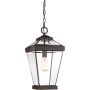 Lampa wisząca Ravine QZ-RAVINE8-L 1x60W/E27 IP23 od Quoizel