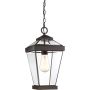 Lampa wisząca Ravine QZ-RAVINE8-M 1x60W/E27 IP23 od Quoizel
