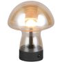 Lampa stołowa DOOLEY R54981113 3000k 1x1.5w/led 140lm ip20 od Trio