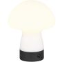 Lampa stołowa DOOLEY R54981131 3000k 1x1.5w/led 140lm ip20 od Trio