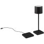 Lampa stołowa FERNANDEZ R54096132 2700+4000+6000K 1x1w/led 130lm ip54 od Trio