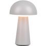 Lampa stołowa LENNON R52176177 3000k 1x2w/led 180lm ip44 od Trio