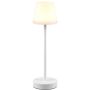 Lampa stołowa MARTINEZ R54086131 2700-6500K 1x2w/led 250lm ip44 od Trio