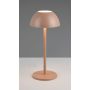 Lampa stołowa RICARDO R54106165 3000k 1x2w/led 240lm ip54 od Trio