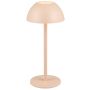 Lampa stołowa RICARDO R54106166 3000k 1x2w/led 240lm ip54 od Trio
