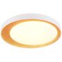 Lampa sufitowa ALETA R64611179 2700-6500k 1x24w/led 2500lm ip20 od Trio