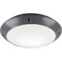 Lampa sufitowa CAMARO R60501042 1x12w/e27 ip54 od Trio