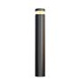 Lampa stojąca Olten O591FL-L12GF3K1 3000K 1x12W/LED 300lm IP65 od Maytoni