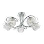 Lampa sufitowa REHAN REH0550 5x40W/G9 IP20 od Dar Lighting