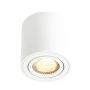Downlight natynkowy SABONIS 2410220101 1x40W/GU10 IP20 od Nordlux