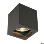 Plafon BIG THEO 229555 1x75W/GU10/ES111 IP44 od SLV