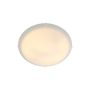 Plafon STANDARD 2410256001 1x60W/E27 IP20 od Nordlux