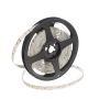 Taśma LED HOMEline TAS4625SLL 3000K 120x9,7W/m/LED 880 lm/m IP20 od SMD LED