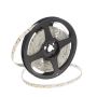 Taśma LED HOMEline TAS4793SLL 4000K 120x9,7W/m/LED 880 lm/m IP20 od SMD LED