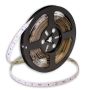 Taśma LED PROline TAS4175SLL 3000K 60x6W/m/LED 650 lm/m IP20 od SMD LED