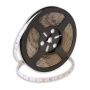 Taśma LED PROline TAS4182SLL 3000K 60x6W/m/LED 650 lm/m IP66 od SMD LED