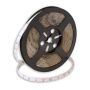 Taśma LED PROline TAS4243SLL 4000K 60x6W/m/LED 720 lm/m IP66 od SMD LED