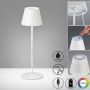 Lampa stołowa Cosenza 850211 RGBW 2x2W/LED 270lm IP44 od Fischer&Honsel