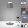 Lampa stołowa Cosenza 850212 RGBW 2x2W/LED 270lm IP44 od Fischer&Honsel