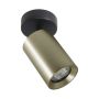 Spot TORE TLS006-GLD 1x35W/GU10 IP20 od Zuma Line
