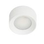 Downlight natynkowy Sirius WG-608C/WK-WW/MULTI 3000k|4000k|6000k 1x28W/LED 3200lm IP44 od Italux