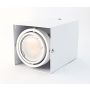 Downlight natynkowy 476 BLOCCO od Milagro