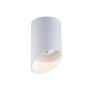 Spot TUBY ACGU10-132 WHITE 1x50W/Gu10 IP20 od Zuma Line