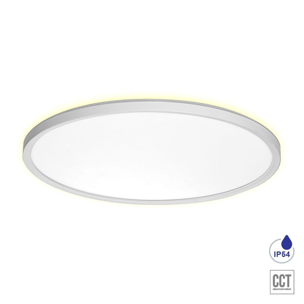 CORDIA I.-27308-Prezent-235943