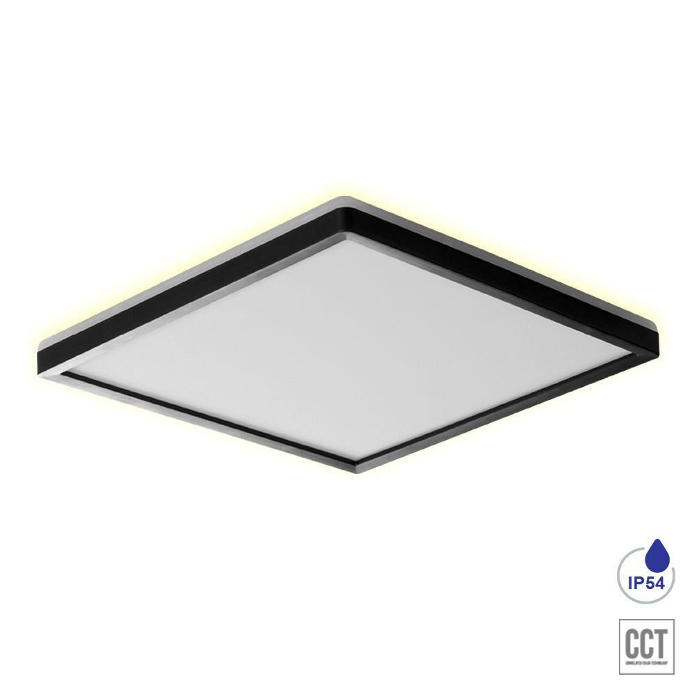 CORDIA SQ II.-27315-Prezent-235946