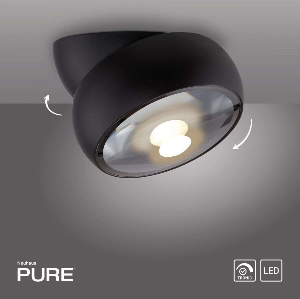 PURE MOVE-6235-18-Paul Neuhaus-251453