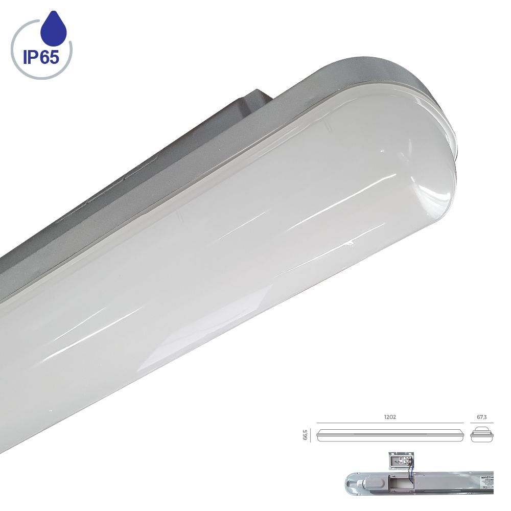 ELMINA-31602-Prezent-235760