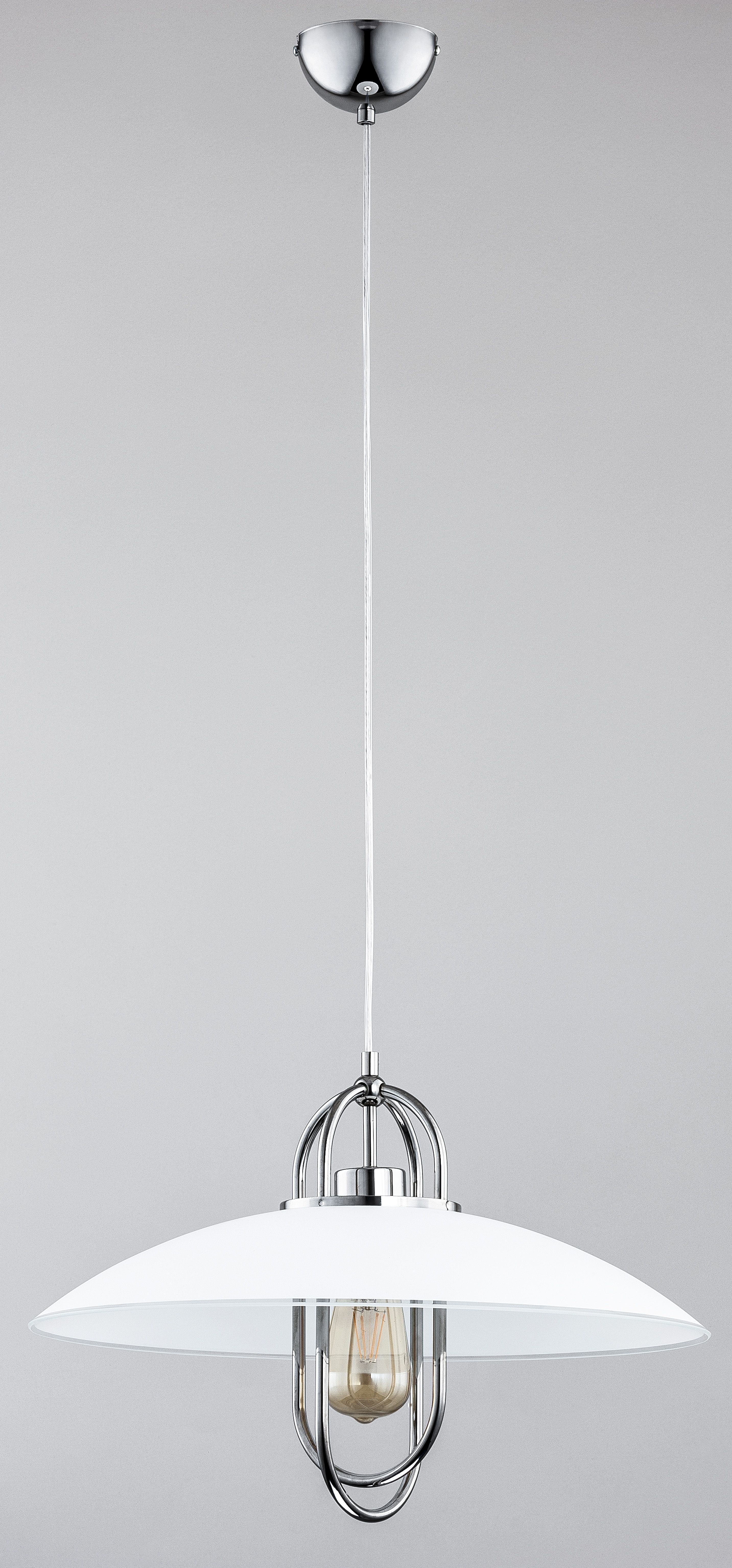 SALIX-60454-Alfa-145596