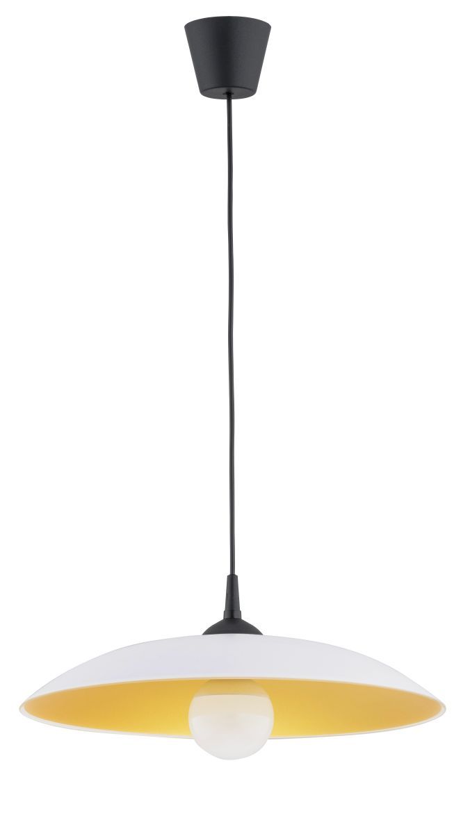 Betula-61191-Alfa-218688