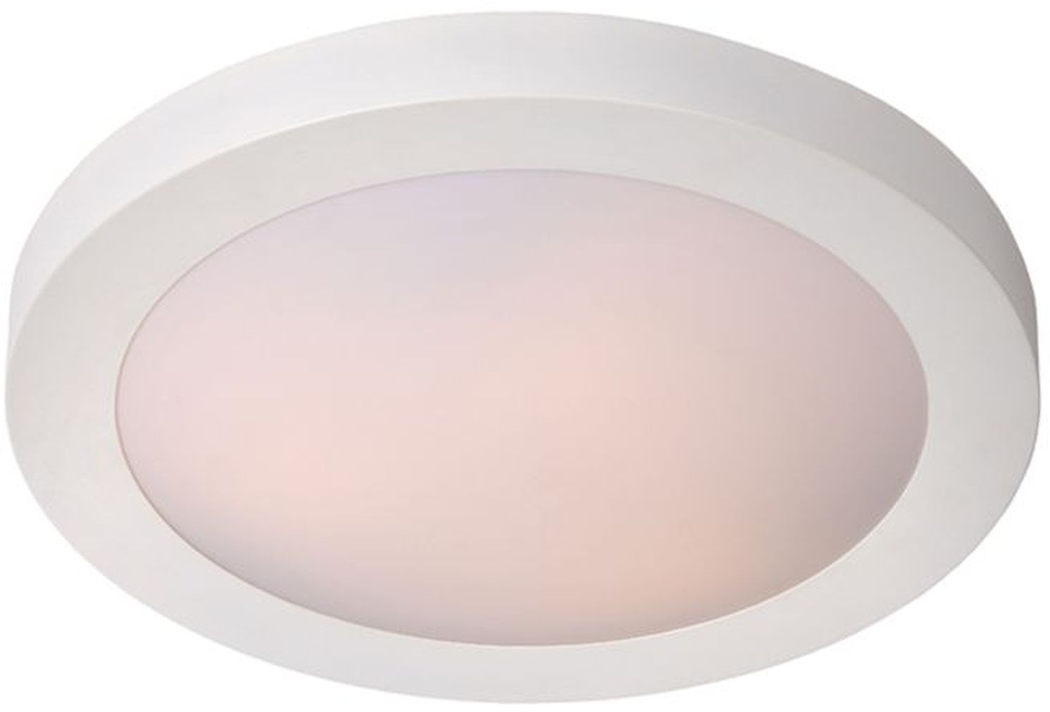 FRESH-79158/01/31-Lucide-239848