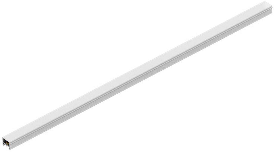 MAGNETIC-22254-Zambelis-262577