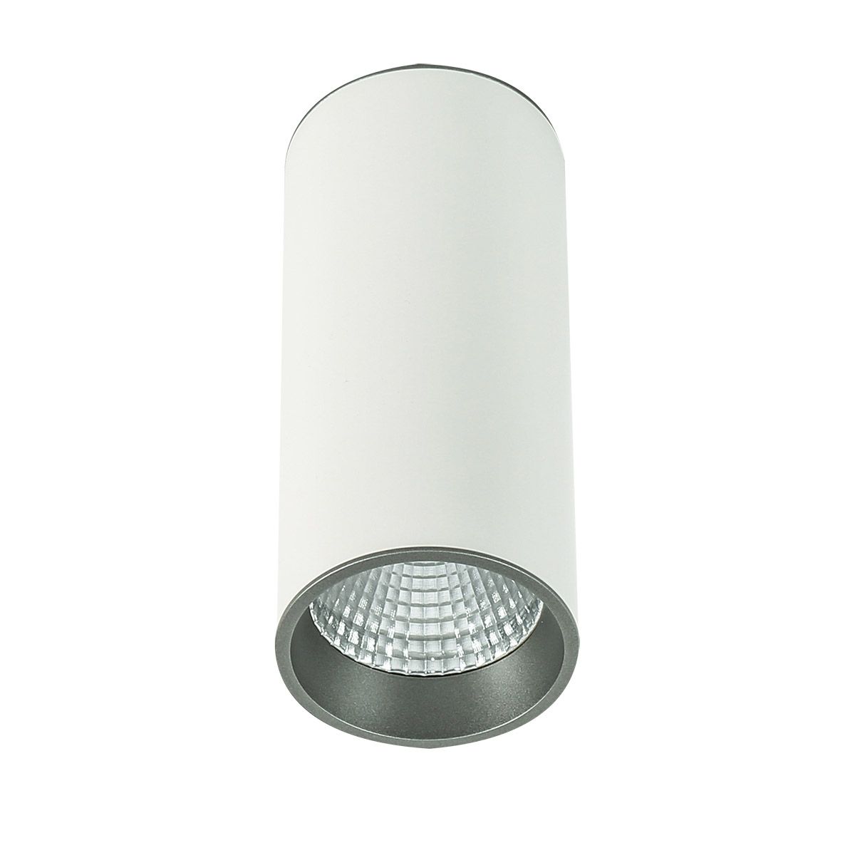MOLDES-SLC7392/12W 3000K WH+GR-Italux-110998