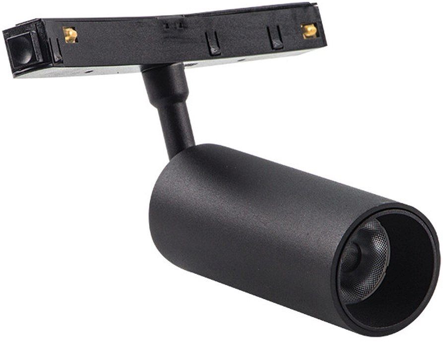 MAGNETIC SPOT-22101-Zambelis-262498
