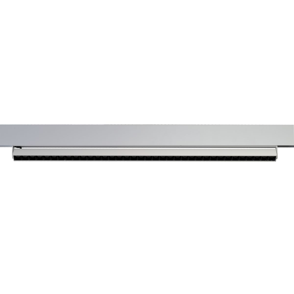 ALFA CYRUS Magnetic-AZ6510-AZzardo-251868