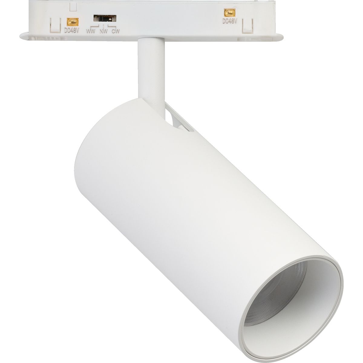 ALFA NIKO Magnetic-AZ6512-AZzardo-251870