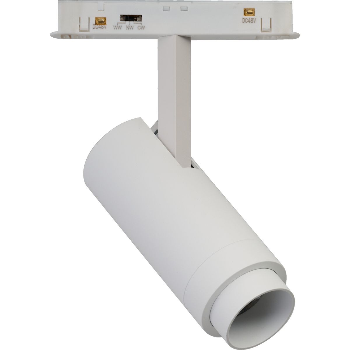 ALFA OPTICA Magnetic-AZ6517-AZzardo-251875