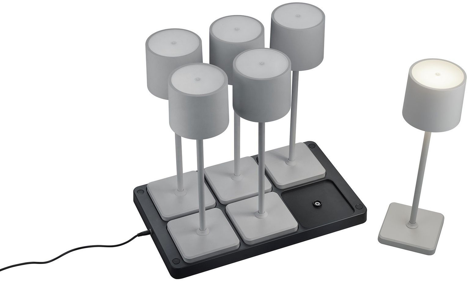 FERNANDEZ-R54096677-TRIO-242923