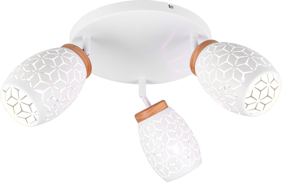 BIDAR-R61573331-TRIO-243600