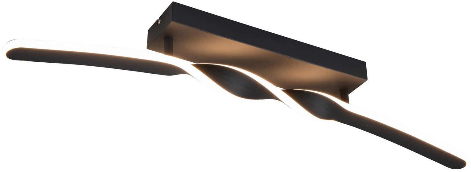 GINKO-R65791132-TRIO-243960