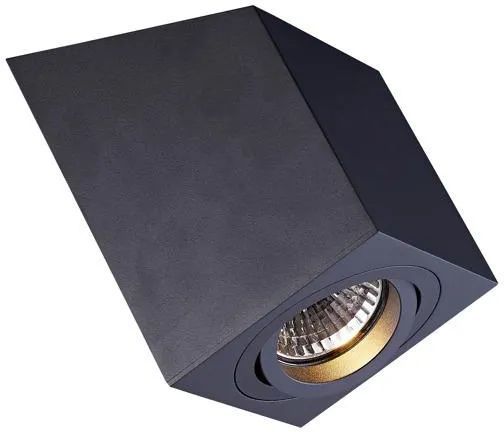 RONCUB-ACGU10-137-Zuma Line-230793
