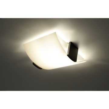 Plafon SL.0186 EMILIO od SOLLUX