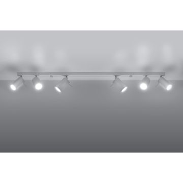 Reflektor sufitowy SL.0333 RING 6L od Sollux