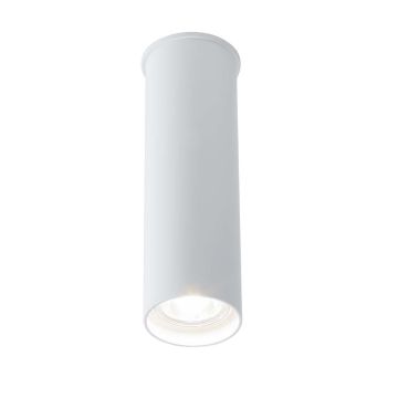 Downlight natynkowy Arida 7009 1x10W/GU10 IP20 od Shilo