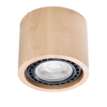 Downlight natynkowy BASIC 1 SL.0913 1x40W/GU10 IP20 od Sollux