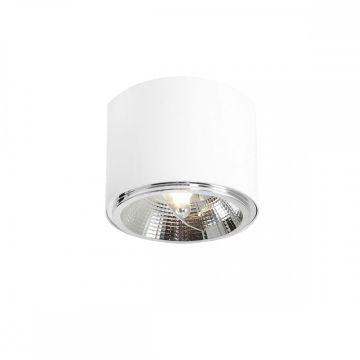 Downlight natynkowy BOT 1046PL_G 1x35W/GU10/ES111 od Aldex